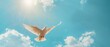 Conceptual background of a dove flying on a blue sky