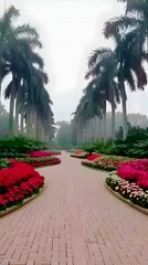 Wall Mural - palm trees in the street