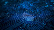 A neon blue digital fingerprint scanner or sensor on a dark AI-integrated electronic circuit bord hi tech background. Fingerprint scanning identification security system, biometrics security.