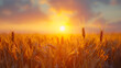 Wheat field, golden wheat field and sunny day, grain field, Photo of wheat spikelets in field, copy space, Generative Ai