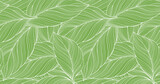 Fototapeta Panele - Vector green tropical background with palm leaves for decor, covers, backgrounds, wallpapers