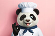 panda dressed as chef on solid color background winking and sticking out tongue on solid white background