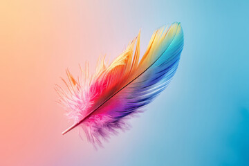 Wall Mural - Colored bird feather floating in air on gradient background