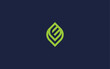 letter ev with leaves logo icon design vector design template inspiration