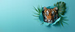 A majestic tiger appears through a torn hole in a teal colored paper background, surrounded by lush green tropical leaves