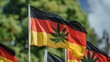 © Viktoria Tom - Germany legalized cannabis. Leaves against flag. Medical oil. Hemp leaf and German flag, drug concept, close-up.