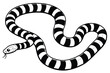 © PixelDreamer - banded sea krait black and white vector
