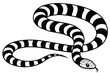 © PixelDreamer - banded sea krait black and white vector
