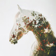 Flowers combined with a white horse using double exposure