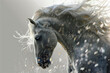 Portrait of a gray horse with a white mane in the spray