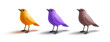 Set of colorful wild birds standing 3D. Elements for design concepts of banners, posters. Vector