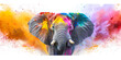 Aquarelle Splendor Holi Elephant