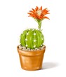 Cute hand drawn cactus with flower. Cactus blooming. Illustration 