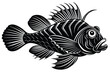 scorpionfish vector