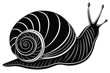 Wall Mural - sea snail vector