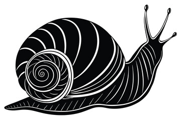 sea snail vector