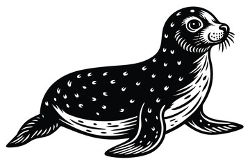 seal aquatic animal vector