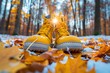 © smth.design - Autumn Hike with Yellow Boots amidst Fallen Leaves