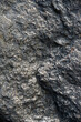 Rock surface. Great for background and texture.