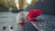 Cinematic close-up shot of a vibrant red poppy resting gracefully on a war memorial, framed by the solemnity of the monument, echoing the sacrifices made for freedom