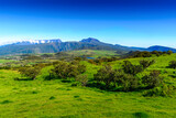 Fototapeta Storczyk - Landscape of Piton des Neiges peak and nature at Reunion Island