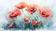 A watercolor painting of red poppies