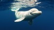 Graceful Beluga Whale Swimming Underwater Demonstrating Playful Movements and Beauty. Concept Underwater Photography, Beluga Whale Behavior