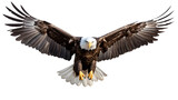 A majestic American bald eagle in mid-flight, captured in high resolution against a pristine white solid background, evoking a sense of freedom
