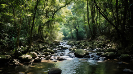 Wall Mural - river in the forest.