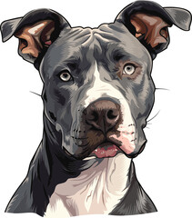 American Pitbull Terrier adorable art vector illustration