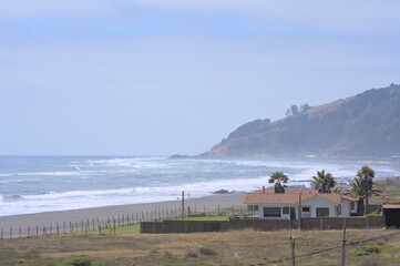 Wall Mural - Windy Sand beach during windy summer day on pacific ocean (Iloca, Chile)