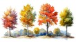 An illustration of trees made with watercolors
