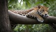 A-Jaguar-With-Its-Tail-Wrapped-Around-A-Tree-Branc-