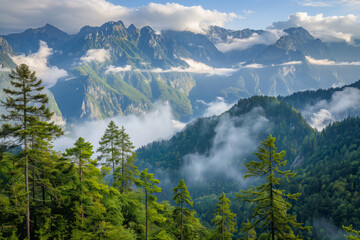 Sticker - A panoramic view of the high mountains and dense forests, mountain range in late spring, fluffy white clouds against a backdrop of lush greenery