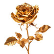 A Gold Rose on transparent background, png	