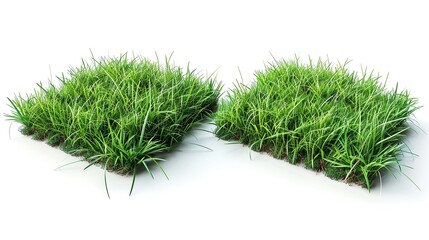 product photo of two artificial grass 50x50cm squares, transparent background