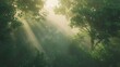 A serene sunrise over a misty forest, with rays of light piercing through the dense canopy, illuminating the vibrant greens and earthy browns of the woodland floor. The air is crisp and fresh.