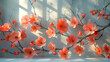 Colorful flowers and branches with shadow on a white backgeound.