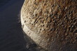 © The Laundry Room/Stocksy - Close-up of texture on large old rusty mooring buoy