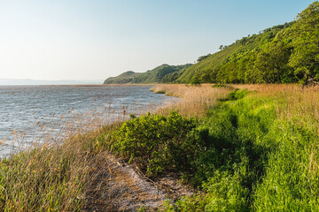 Wall Mural - Seashore with a shallow bottom on a clear day. Summer sunny day on the seashore.