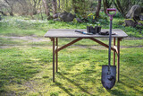 Fototapeta Tulipany - Wooden garden table with spade, shovel and some potted plants in the backyard, gardening concept, copy space