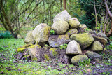 Fototapeta Tulipany - Ecological stone pile, a natural paradise in the garden, small caves and niches offer hiding places, protection and habitat for many animals, copy space, selected focus