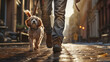 Legs of Man walking a dog on a leash in cobblestone street