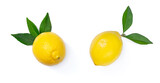 Fototapeta Tulipany - Lemon with leaf isolated on white