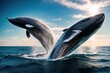 Two humpback whales jumping out of the water, with their flippers and tails in the air.