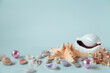 Seashells, starfish and pearls on a gray background.