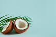 Broken coconut and palm leaf on a blue background.