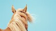 Close-up of palomino horse's head against clear blue sky, showcasing its blonde mane and ears