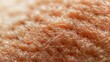 Close-up view of human skin showing detailed texture with hair follicles and fine hairs