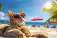 A Cat Wearing Sunglasses Is Laying On The Beach. Summer Heat Concept